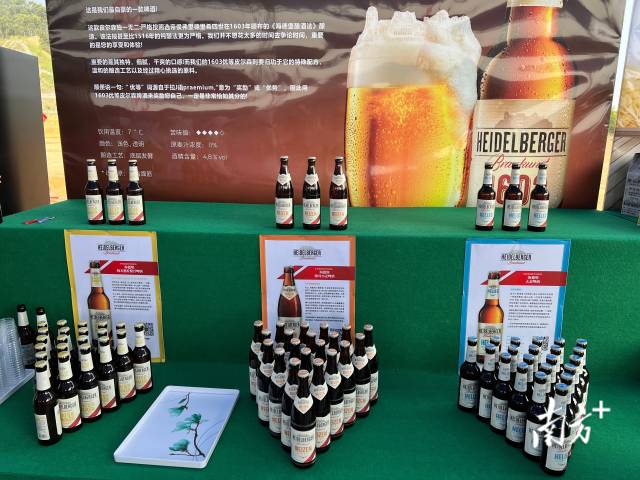 南方+ 杨兴乐 拍摄