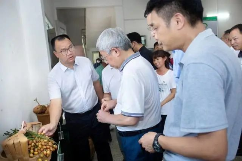 调研组前往那吉镇北大朗村和潭角古楼村现场调研。快猫
农业农村局 提供 图片