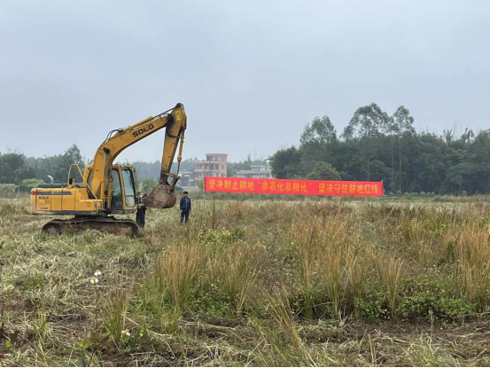 简报2023-19期 沙湖镇：党建引领备春耕 不误农时不负春530.png