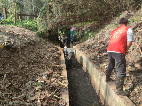 简报2023-19期 沙湖镇：党建引领备春耕 不误农时不负春1385.png