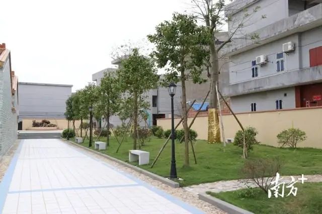 根竹头村的村容村貌保持全天候全方位美丽干净整洁。 图片