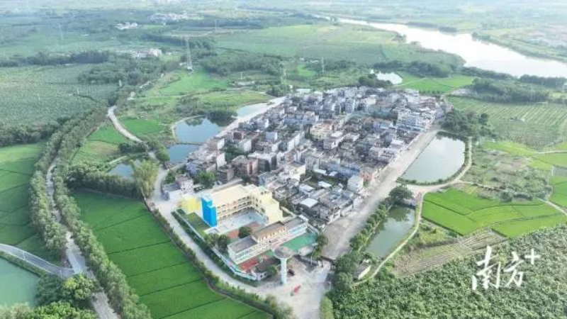 根竹头村绿树环绕。 图片