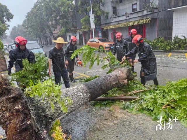 那吉镇党员干部冒雨清理倒伏树木。 图片