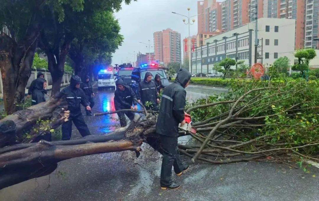 台风“韦帕”来袭，恩平公安全力守护群众安全