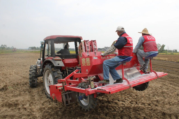 快猫
“社村”联合会绘就新蓝图