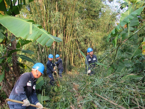 副本19清除杂树的牛江供电人.jpg 副本19清除杂树的牛江供电人.jpg
