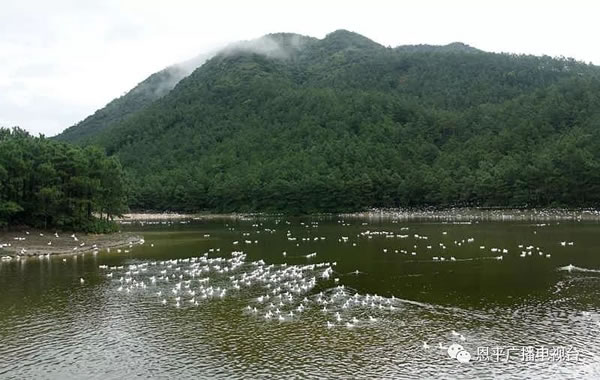 微信图片_20181016104438.jpg 微信图片_20181016104438.jpg