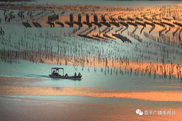 微信图片_20181016104445.jpg 微信图片_20181016104445.jpg