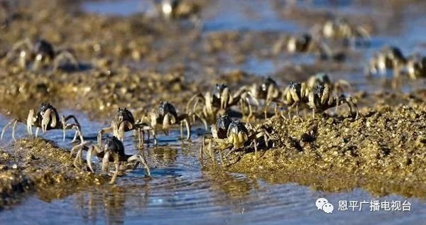 微信图片_20181016104531.jpg 微信图片_20181016104531.jpg