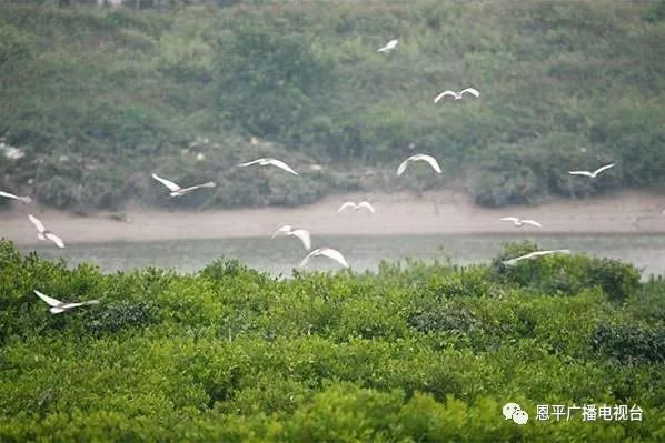 微信图片_20181016104535.jpg 微信图片_20181016104535.jpg