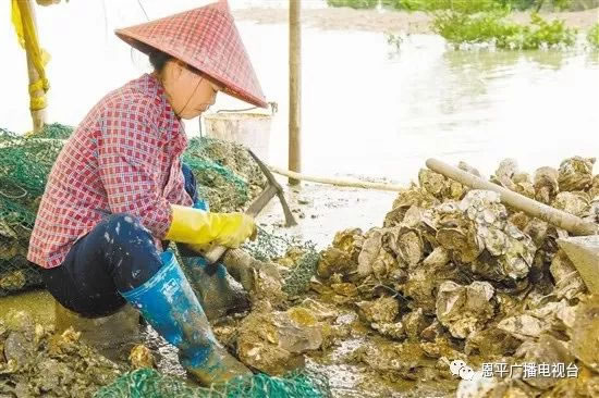 微信图片_20181016104550.jpg 微信图片_20181016104550.jpg